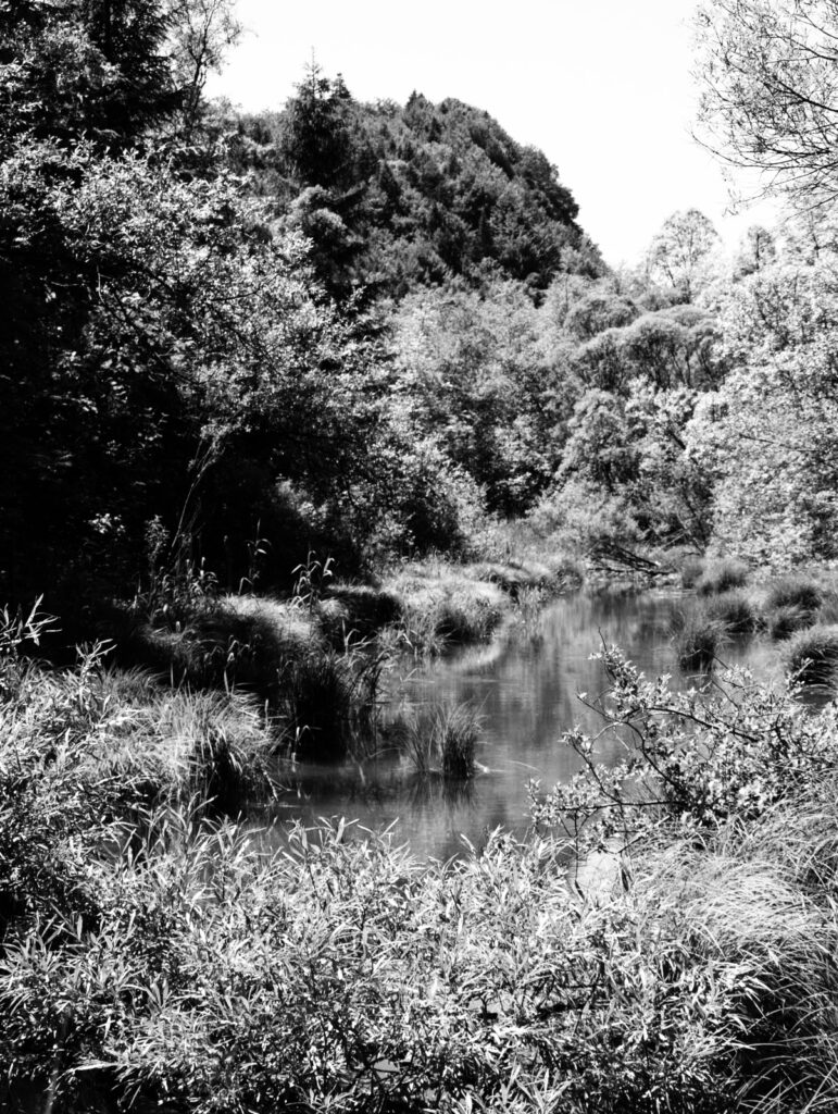 Nature